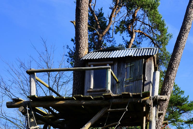 Treehouse in the forest